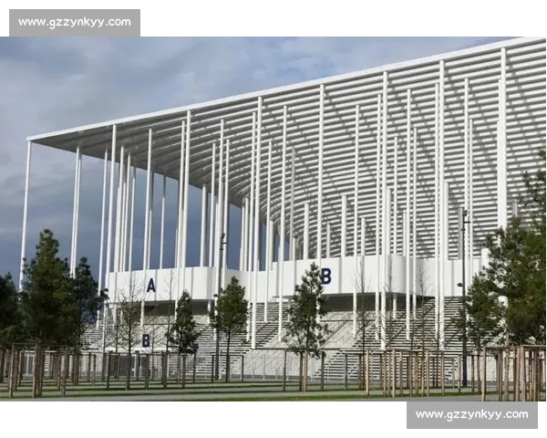 聚焦足球行业投资机遇与商业模式创新发展战略方案全球视野下的综合规划蓝图